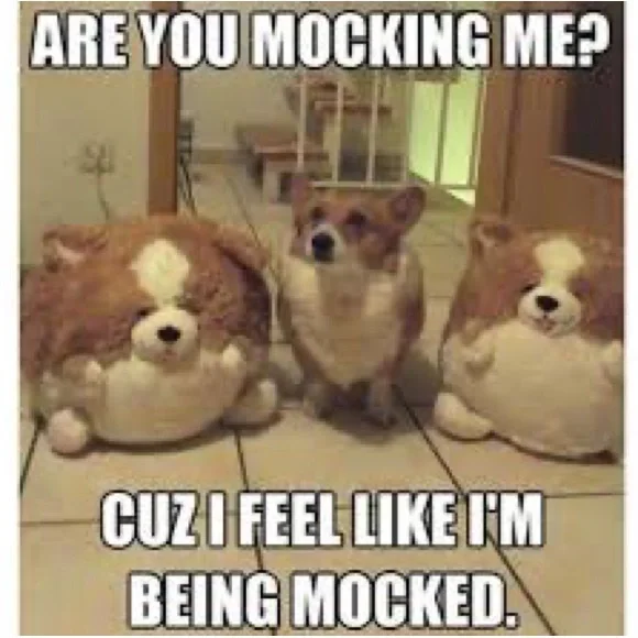 125 PICKS BEFORE I GOT CUT OFF!😻Y’ALL ROCK!🤘🏼TY FOR THE POSH LOVE/SHARES♥️🌷 - Picture 5 of 9